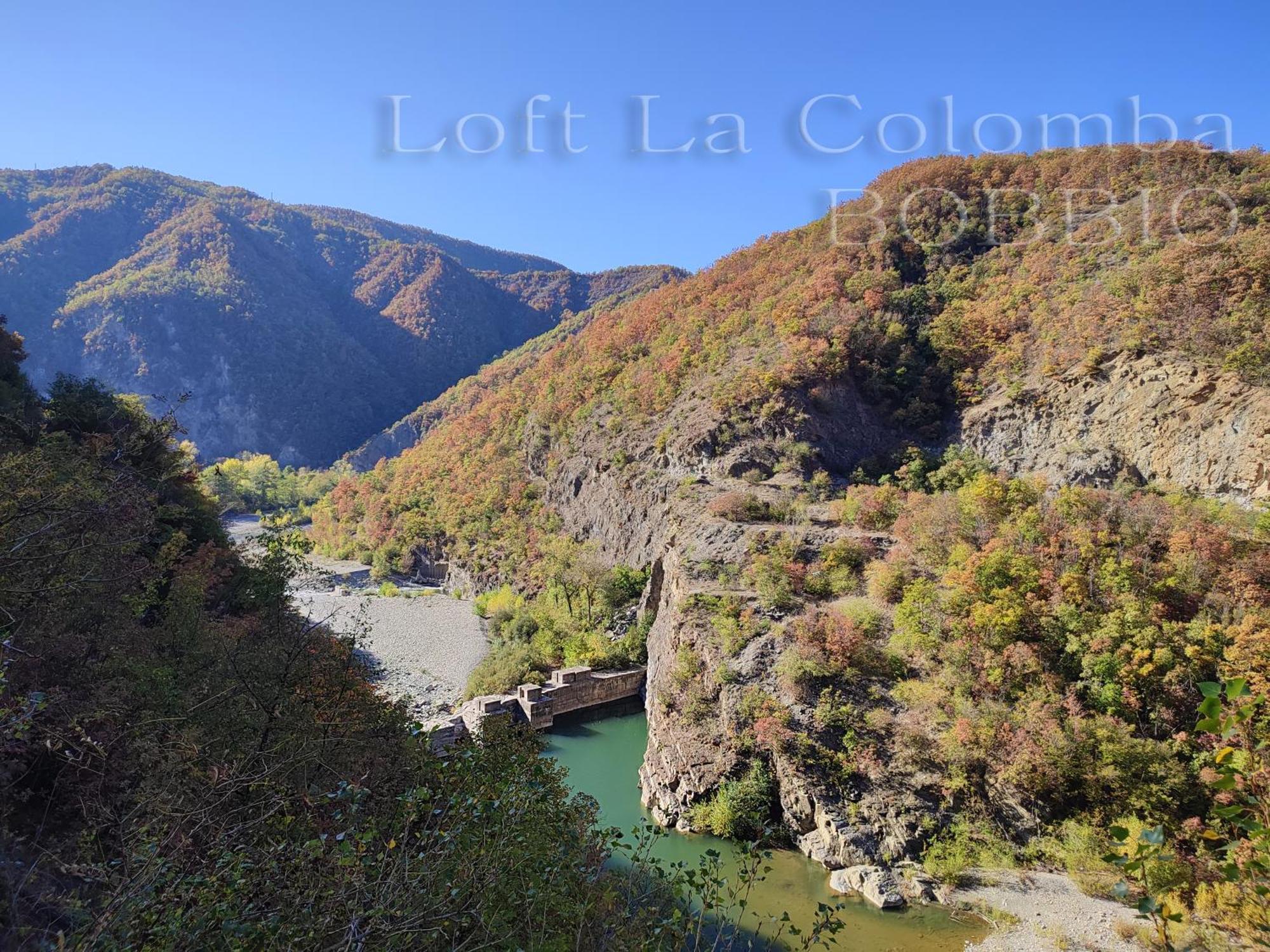 博比奥Loft La Colomba公寓 外观 照片